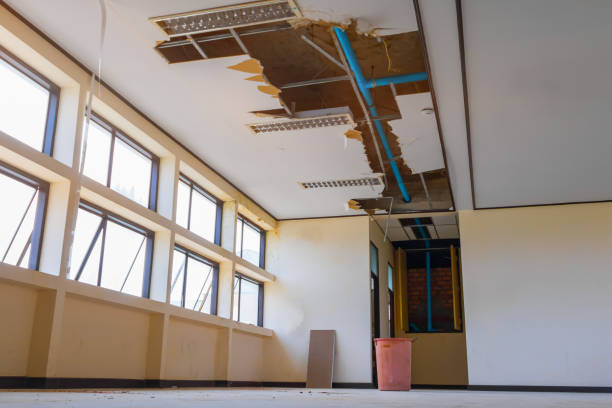 Local water damage restoration in Doctor Phillips, FL