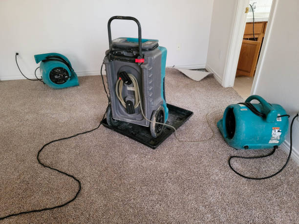 24/7 water damage repair in Doctor Phillips, FL