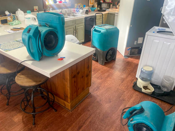  Doctor Phillips, FL Water damage restoration Pros