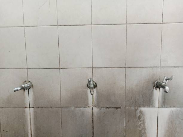 Best Flood restoration services  in Doctor Phillips, FL