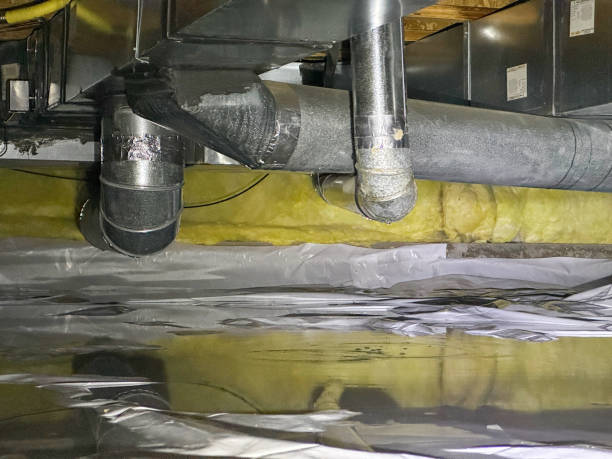 Best 24/7 water damage repair  in Doctor Phillips, FL