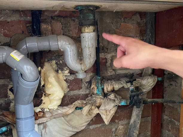Best Water damage restoration near me  in Doctor Phillips, FL