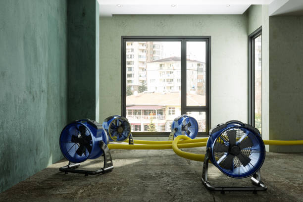 Best 24/7 water damage repair  in Doctor Phillips, FL