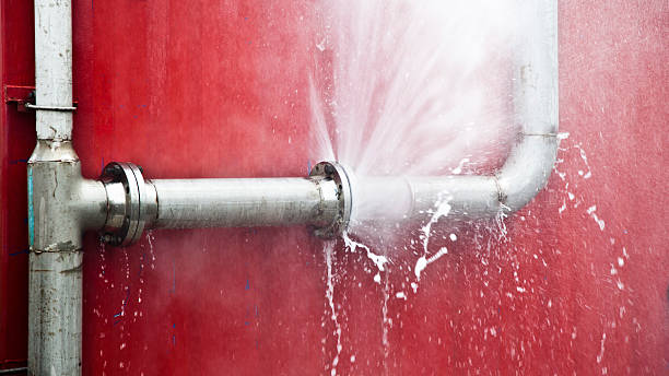 Best Ceiling water damage repair  in Doctor Phillips, FL