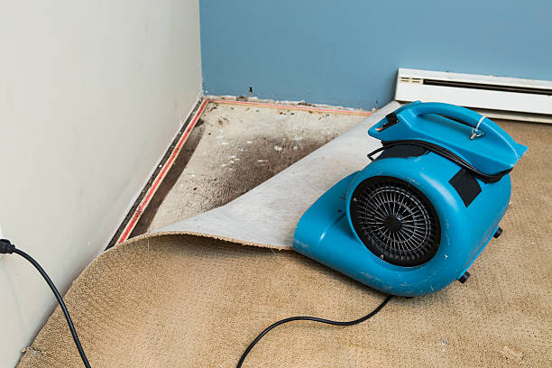 Best Residential water damage restoration  in Doctor Phillips, FL